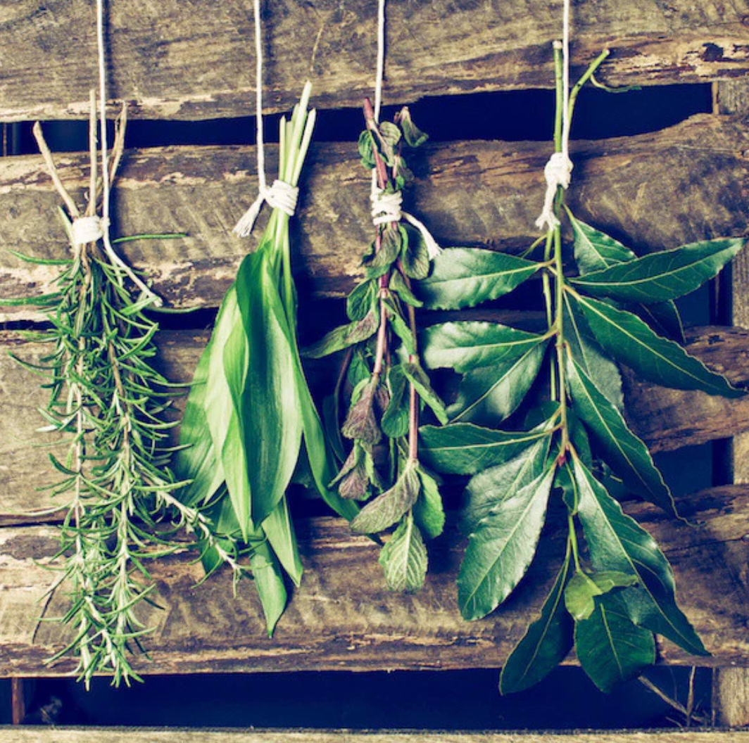 Tuscan Herb