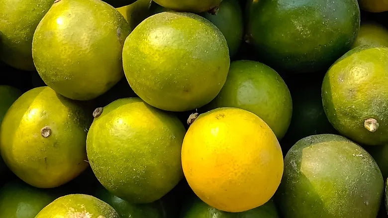 Persian Lime Co-Pressed Olive Oil