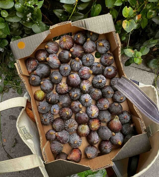 Fig Balsamic Vinegar