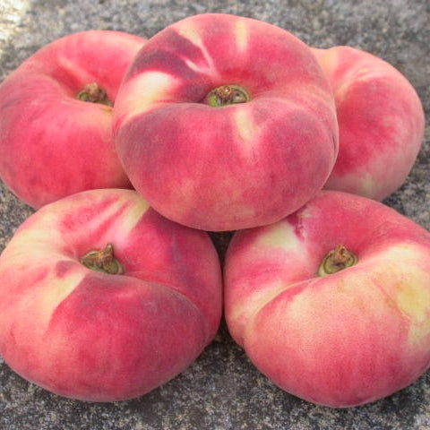 Peach White Balsamic Vinegar