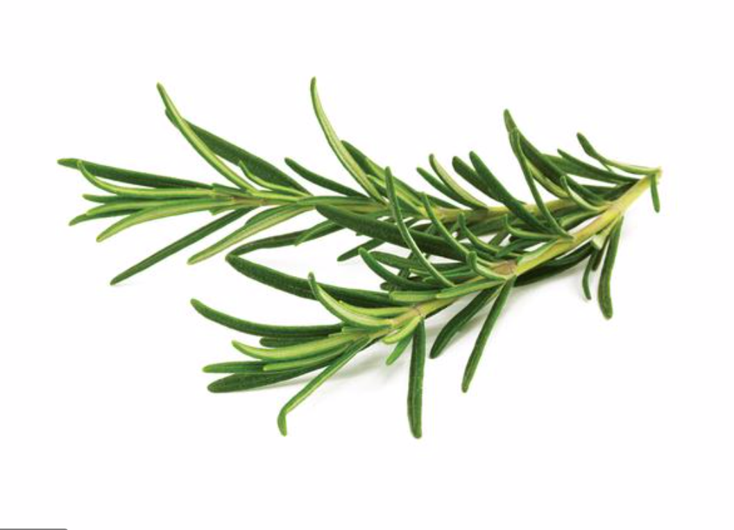 Rosemary Olive Oil