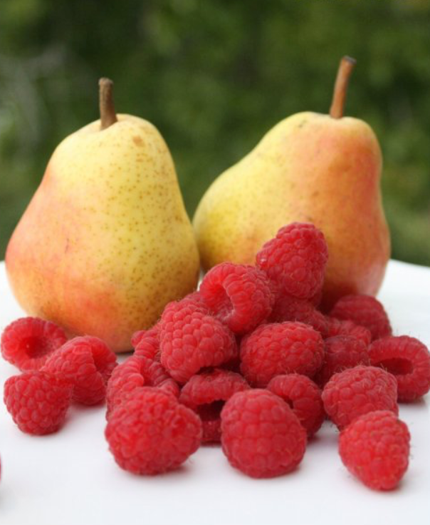 Raspberry Pear White Balsamic Vinegar
