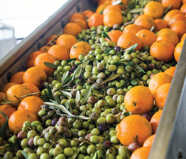 Mandarin Blood Orange Olive Oil