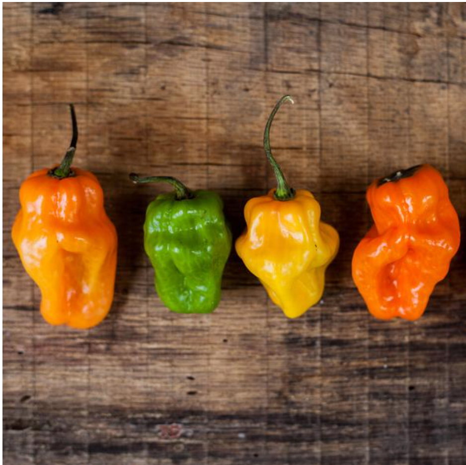 Habanero Olive Oil